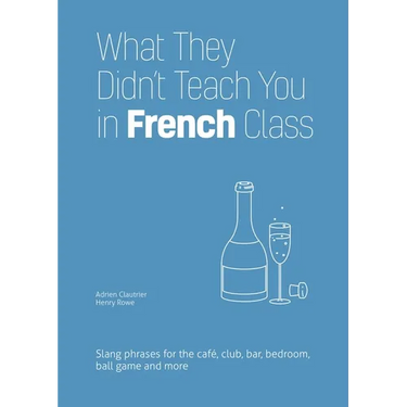 What They Didn't Teach You in French Class: Slang Phrases for the Cafe, Club, Bar, Bedroom, Ball Game and More