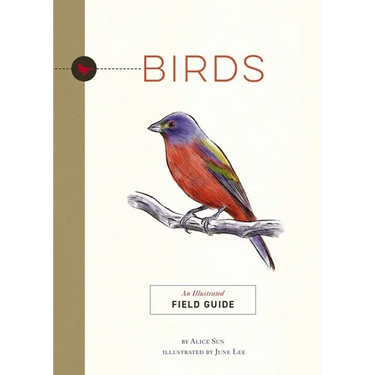 Birds: An Illustrated Field Guide