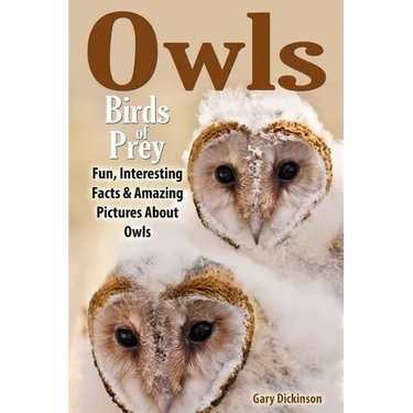 Owls: Birds Of Prey