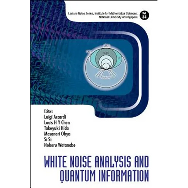 White Noise Analysis and Quantum Information