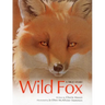 Wild Fox: A True Story