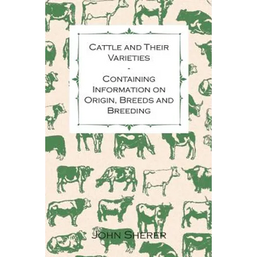 Cattle and Their Varieties - Containing Information on Origin, Breeds and Breeding