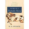 Story of a Piebald Horse