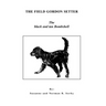 The Field Gordon Setter: The Black and Tan Bombshell