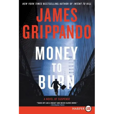 Money to Burn: A Novel of Suspense