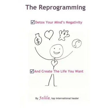 The Reprogramming: Detox your Mind's Negativity and Create the Life you Want
