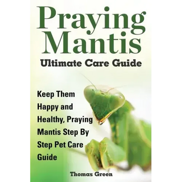 Praying Mantis Ultimate Care Guide