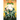 Mighty Morphin Power Rangers Vol. 3