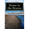 Home to the Brazos: A Painted Post Mystery