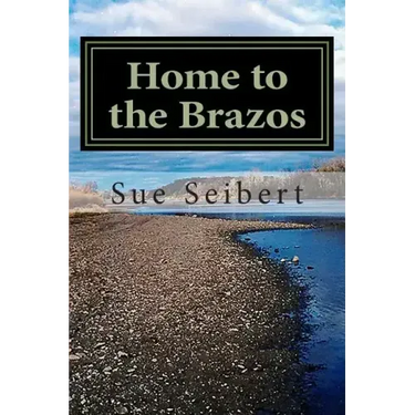 Home to the Brazos: A Painted Post Mystery