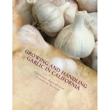 Growing and Handling Garlic in California: Circular 84