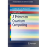 A Primer on Quantum Computing