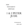 1 & 2 Peter and Jude: A Critical & Exegetical Commentary