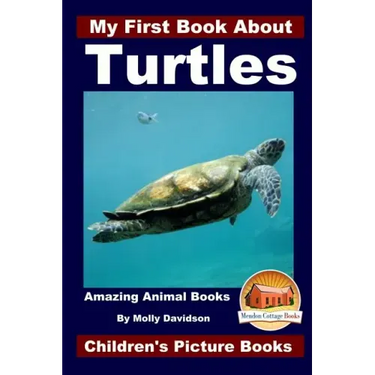 My First Book About Turtles - Amazing Animal Books - Children's Picture Books