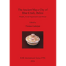 The Ancient Maya City of Blue Creek, Belize: Wealth, Social Organization and Ritual