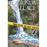 Washed Up: A Gracie Andersen Mystery
