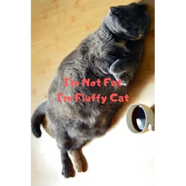I'm Not Fat I'm Fluffy Cat Gift For Mom Wife Lover Women Sister Nurse