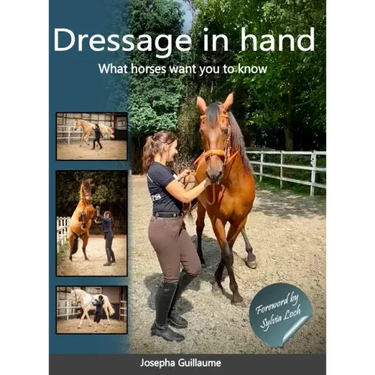 Dressage in hand: What horses want you to know