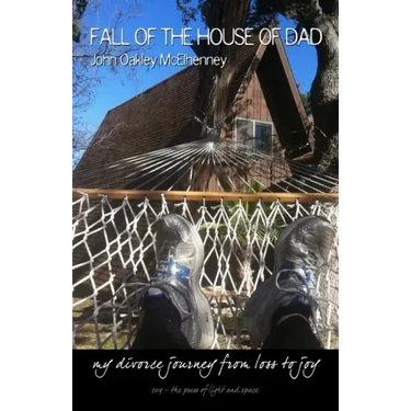 Fall of the House of Dad: My journey through divorce, from loss to joy, again and again