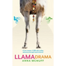 Llama Drama: A two-woman, 5,500-mile cycling adventure through South America
