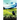 When the Crow Sings