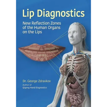 Lip Diagnostics: New Reflection Zones of the Human Organs on the Lips