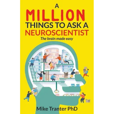 A Million Things To Ask A Neuroscientist: The brain made easy