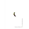 The Inanity of Music and Wings