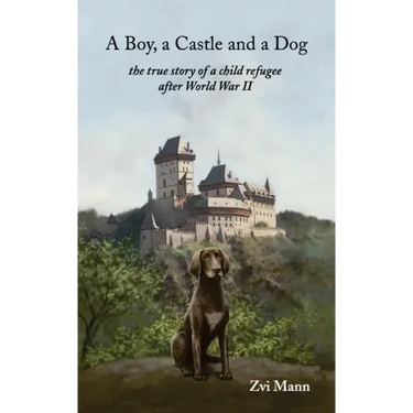 A Boy, A Castle and A Dog