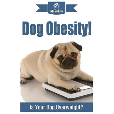 Dog Obesity!: Is Your Dog Overweight?