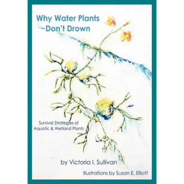 Why Water Plants Don't Drown: Survival Strategies of Aquatic and Wetland Plants