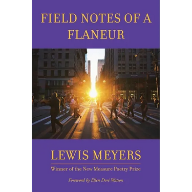 Field Notes of a Flaneur