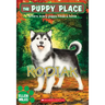 Kodiak (the Puppy Place #56): Volume 56