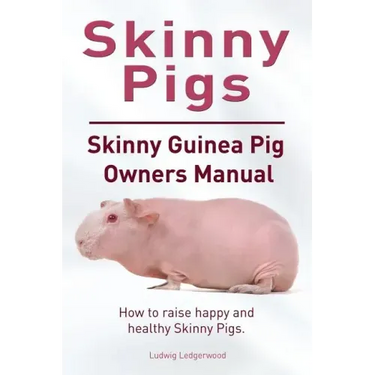 Skinny Pig. Skinny Guinea Pigs Owners Manual. How to raise happy and healthy Skinny Pigs.
