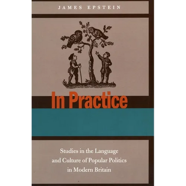 In Practice: Studies in the Language and Culture of Popular Politics in Modern Britain