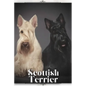 Scottish Terrier: Dog breed overview and guide