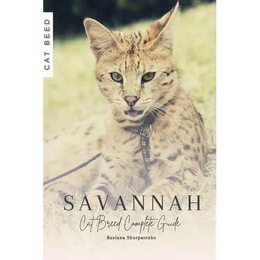 Savannah: Cat Breed Complete Guide