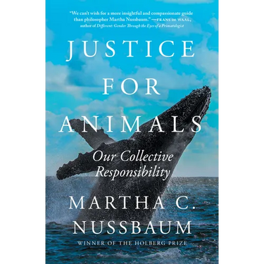 Justice for Animals: Our Collective Responsibility
