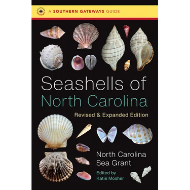 Seashells of North Carolina, Revised and Expanded Edition