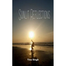 Sunlit Reflections