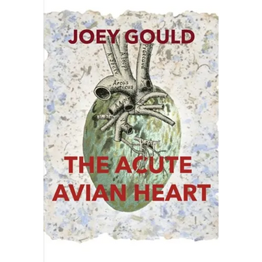The Acute Avian Heart