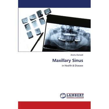 Maxillary Sinus