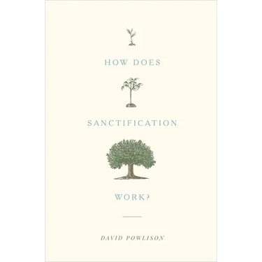 How Does Sanctification Work?