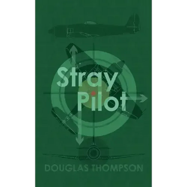Stray Pilot