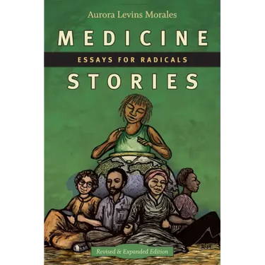 Medicine Stories: Essays for Radicals