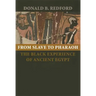 From Slave to Pharaoh: The Black Experience of Ancient Egypt