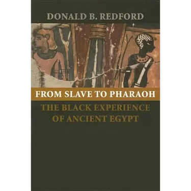 From Slave to Pharaoh: The Black Experience of Ancient Egypt