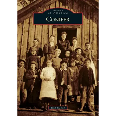 Conifer