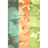 Three Faces in the Mirror