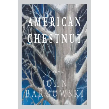American Chestnut